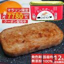 期間限定エントリー 全品 ポイント 10倍 マラソン 12缶 わしたポーク JAPAN 備蓄 非常