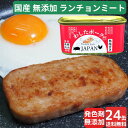 24缶 わしたポーク JAPAN 備蓄 非常食 食料 食料品 缶詰 備蓄用 缶詰め 詰め合わせ 楽天1位 国産 無添加 無塩せき 送料無料 防災 長期保存 ランチョンミート 発色剤 不使用