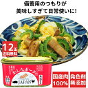12缶 わしたポーク JAPAN 備蓄 非常食 食料 食料品 缶詰 備蓄用 缶詰め 詰め合わせ 楽天1位 国産 無添加 無塩せき 送料無料 防災 長期保存 ポー...