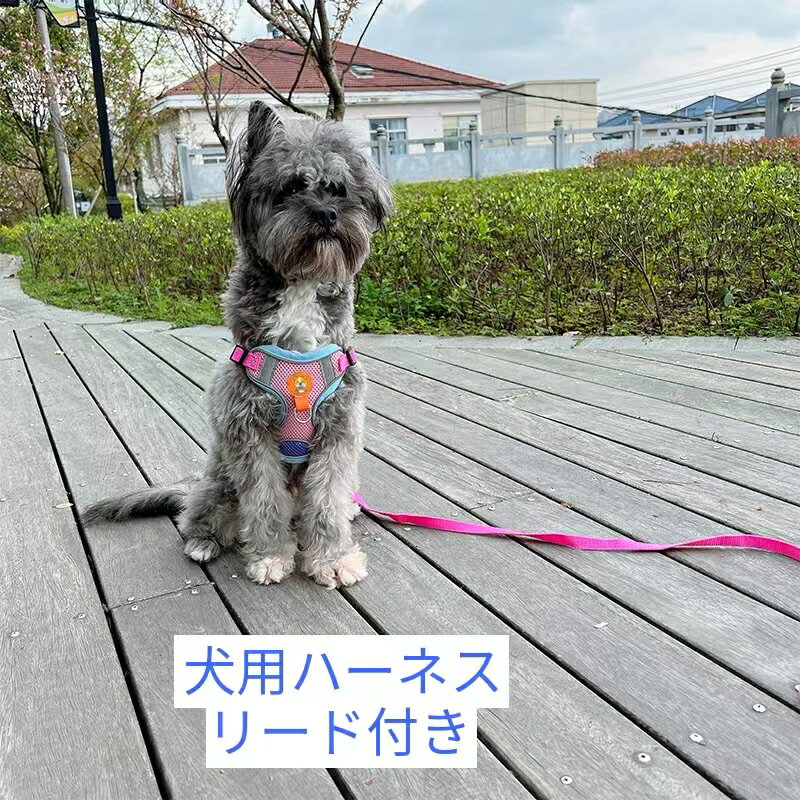 【P20倍】犬ハーネスリード付 ドッグハーネスリード 小型犬 中型犬　大型犬 散歩　使いやすい リード1.5M