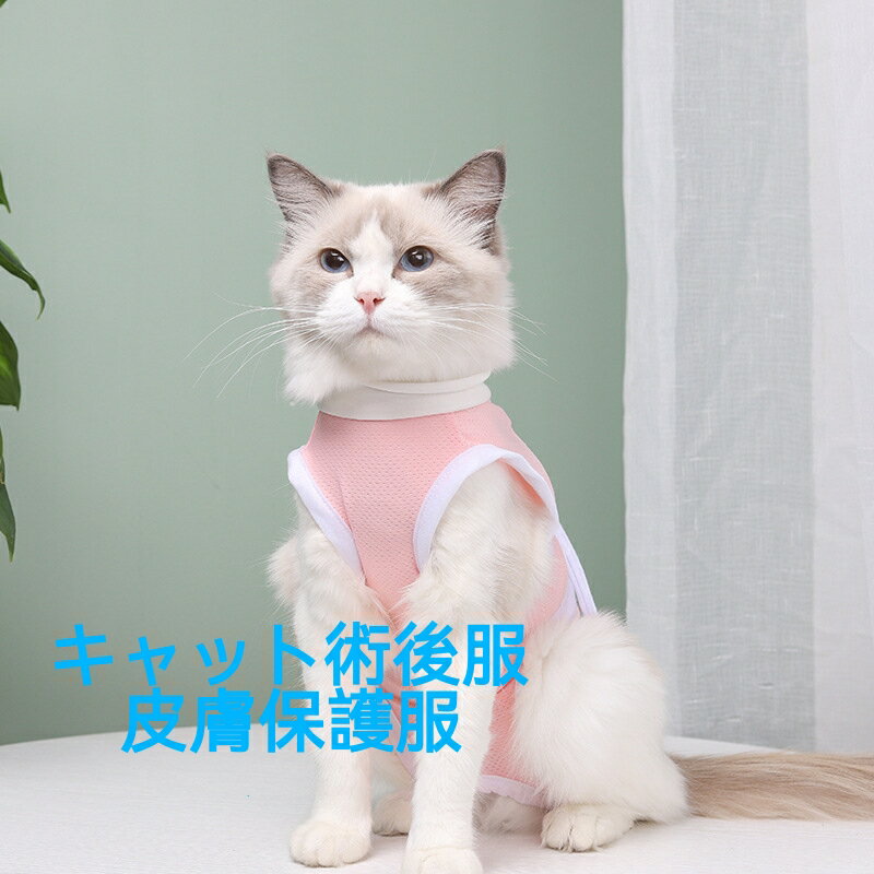 【送料無料】猫 手術服 薄いタイプ キャット術...の紹介画像2