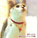 【送料無料】猫ちゃん用オシャレ首輪 猫用ネックレス 猫グッズ かわいい 雑貨 猫 好き な 人 プレゼント ギフト オシャレ 猫の誕生日 猫好き ネコ グッズ ...