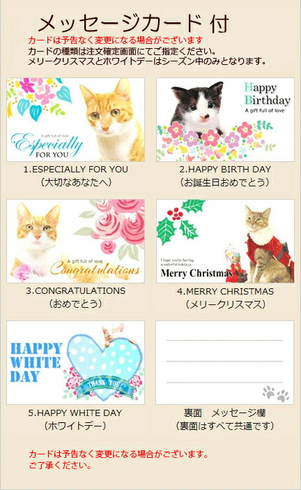 【有料ラッピング◎ジュエリー専用】 ギフト包装 猫 グッズ プレゼント用 かわいい おしゃれ 誕生日 プチギフト ジュエリーアクセサリー用ラッピングサービス ※雑貨用は注文確定画面で指定 ※単品注文不可 複数購入時は別便対応