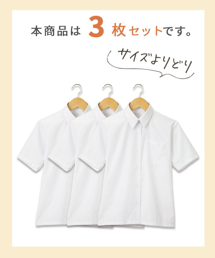 �ڤ��ɤ�3���1��1490�ߡ۽��� �������륷��� Ⱦµ �Ρ��������� �֥饦�� 150��175cm ���� ���å�������� ���ְ��� ®�� ��ǥ����� �磻����� ������ �⹻ ��� ���� �Ҷ� ���λ� ���� ������������̵����S547062