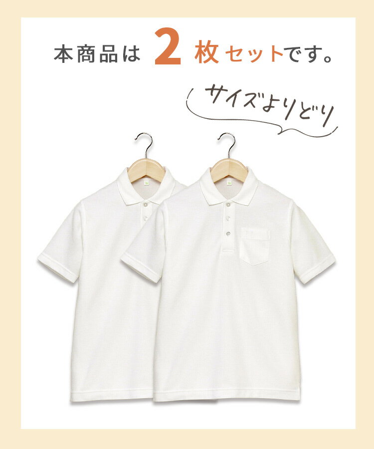 �ڤ��ɤ�2���1��1127�ߡۤ��ä������� ���å� �ݥ������ Ⱦµ �ˤλ� �� ���λ� �������� �ݥ������ ������ ����� 100��170cm ���ְ��� �Ρ��������� �ۿ�®�� �Ҷ� ���� ���ع� ���� ���ձ� �˻� ��� ����˥�������̵����LB444582