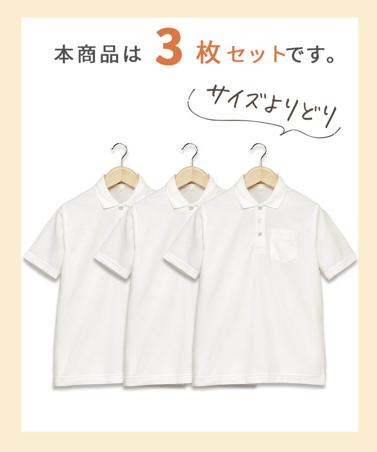 �ڤ��ɤ�3���1��1070�ߡۤ��ä������� ���å� �ݥ������ Ⱦµ �ˤλ� �� ���λ� �������� �ݥ������ ������ ����� 100��170cm ���ְ��� �Ρ��������� �ۿ�®�� �Ҷ� ���� ���ع� ���� ���ձ� �˻� ��� ����˥�������̵����LB444582