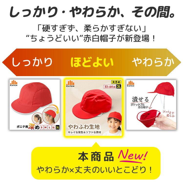 ��3L�������б��۷ڤ䤫���ե� ����˹�� ���դ勵���� ����˹�� ���餫�Ǻ� �ĥФ⥽�ե� ȯ�����쥤 �˽����� �ˤλ� ���λ� ���ع� ������ ���ձ� �ݰ�� �ݥå��������̵����HW624156