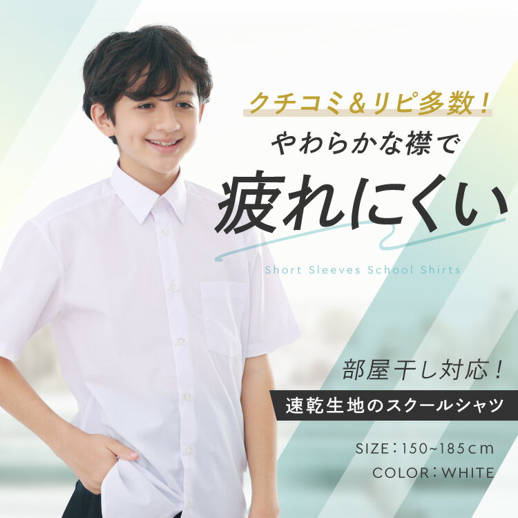 ��365���в� | ¨Ǽ�ۥ������륷��� Ⱦµ �˻� ���եȶߡʤդˤ�ߡ����餫�����150��185cm ���� ���å�������� ��������餯�餯 ��� �磻����� �� Y����� ����� �⹻�� �Ҷ� ������ ���ء�����̵����FL448342