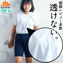 【送料無料】子供服 男の子 女の子 スクール 体操服 Tシャツ 半袖 丸首 白 無地 ラグラン 男児 女児 キッズ ジュニア【メール便対応】