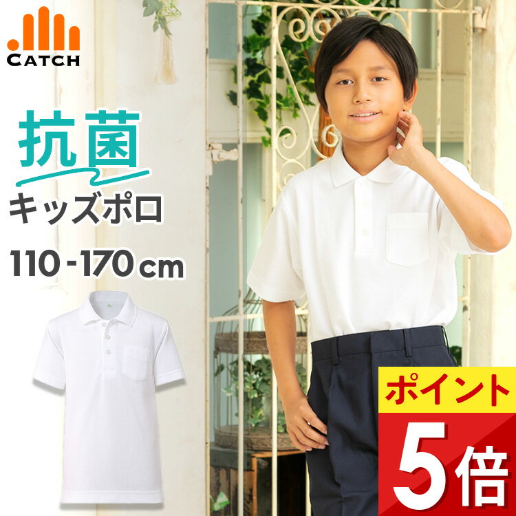 ���å� �ݥ������ Ⱦµ �����ɽ� �� 110��170cm �ˤλ� �������� �ݥ������ ���λ� ������ ����� ���ع� ���� ��� ����˥� ���ء�����̵��...