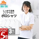 ＼ポイント5倍上乗せ中!／【よりどり3枚⇒1枚960円】しっかり生地 キッズ ポロシャツ 半袖 女の子 白 鹿の子 100/110/120/130/140/150/160/170 形態安定 ノーアイロン 吸水速乾 子供 制服 小学生 小学校 入学 幼稚園 ジュニア 女子 レディース LB544592