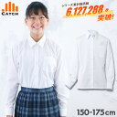 スクールシャツ 女子 長袖 送料無料 2枚セット【CONOMi】制服 ノーアイロン スクールブラウス 女子 ノンアイロン 形態安定 スクール シャツ 高校生 制服 ブラウス 学生 中学 人気 ブランド 学生服 大きい 小さい ワイシャツ アイロン不要 透けにくい 速乾 制服 シャツ