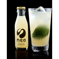 ��ͧ�������n.e.o�ʥͥ��˥ץ�ߥ��ॸ�󥸥㡼�������� 95ml��16����