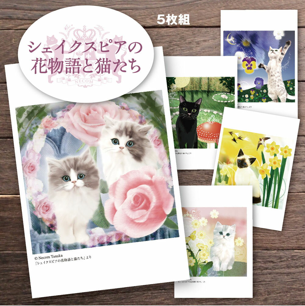 猫夢 ポストカードセット5枚組 （シ
