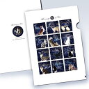 猫夢 猫の12星座クリアファイル 猫グッズ 雑貨 プレゼント 猫モチーフ 【猫雑貨】