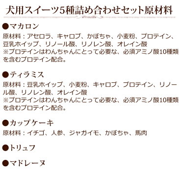 犬用スイーツ5種詰め合わせセット 【愛犬用スイーツ・犬用おやつセット・ケーキ】【冷凍商品】犬 ケーキ スイーツ プレゼント チョコレート 手作り 安全 無添加 クッキー 犬のケーキ 犬用おやつケーキ 犬のおやつ犬ケーキ ギフト 犬用ケーキ ペットケーキ グッズ