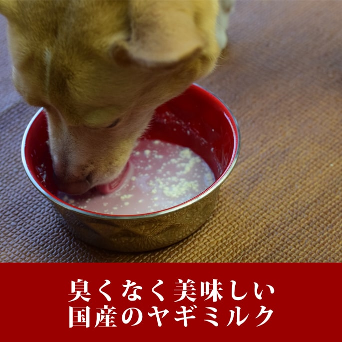 犬用猫用ミルク|国産ヤギミルクプレミアム濃厚 ...の紹介画像2