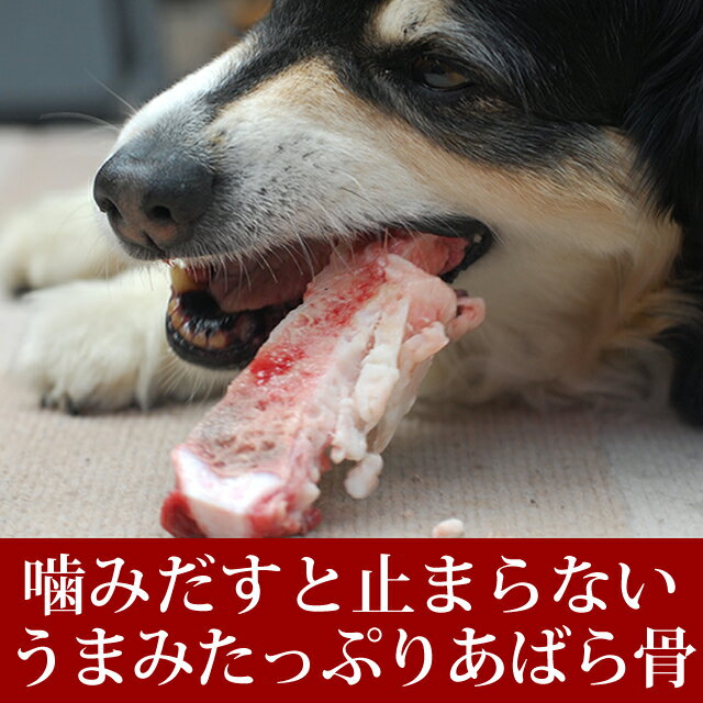 犬 歯磨き 黒毛和牛の生骨 Sサイズ 小型犬 手作り食 手作りご飯としてや歯石 お口の匂い ガム はみがき 犬口ケア 犬用 デンタルケア 犬の歯磨き オーラルケア ハミガキ 犬の歯石取り【a0033】