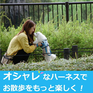 【リードは別売り】犬 ハーネス ASHU クーリングウェアハーネス L 中型犬 小型犬パグ クールベスト代わりになる 涼しいハーネス【犬ハーネス ペット用品 ドッグ ハウンドカム 柴犬 トイプードル コーギー チワワ おしゃれ グッズ わんこ 愛犬】
