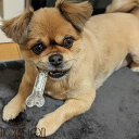 【割引クーポン配布中】犬用デンタルおもちゃ デンタルソフトボーン SサイズMサイズLサイズ 香り付きで楽しく噛める やわらかめ 噛む玩具 オモチャ 骨型 ベーコンの香り ミルクの香り フレーバー 噛むことで歯垢や歯石の沈着を防ぐ ストレス軽減に