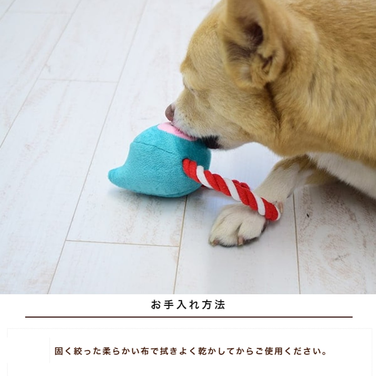 ���Ѥ������ �ץ�å���ȥ� ������������ ��󥰡������Ĥ��񡡤̤�����ߡ��������դ������ࡡ���פʡ�����Ϻ�������դˤ���ưʪ�������ץ�󥰡��������̡����롡�𵡡���������������淿�������襤�����ȥ�