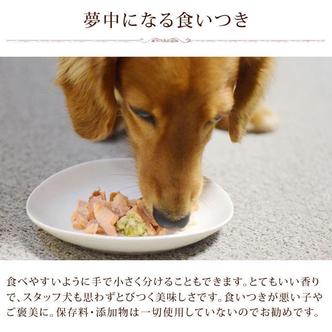 【割引クーポン配布中】犬 鮭のグリーンソース　5袋セット　阪急ハロードッグ　わんちゃんのヘルシーお惣菜　レトルト食品　手作り食として　犬用　ごはん　ハロードック　無添加　国産　ユーグリーン eugreen 帝塚山ハウンドカム ウェットフード パウチ ドッグフード 一般食