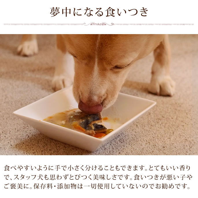 鯖のやわらか煮　100g　わんちゃんのヘルシーお惣菜　レトルト食品　無添加　鯖　DHA　EPA　鯖缶　旅行先　災害時の非常食　柔らかい　ユーグレナ　お惣菜　プレゼント　調理済み　シニア　いぬ　老犬　スープ　ユーグリーン 帝塚山ハウンドカム catfood-10058811 ペットの長生きごはん専門店 サンプル画像3