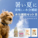 【夏限定】夏にピッタリ水分補給セットB 常温商品 愛犬 愛猫 暑い季節 水分不足 水分 栄養 トッピング 食いつき シニア 子犬 ごはんに 手作り食 帝塚山ハウ...