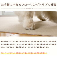 送料無料 おくだけ撥水吸着タイルマット大判 60 45cm12枚 マット ペット タイルカーペット カーペット 引っ越し リフォーム 老犬 股関節 高齢 犬 の介護にも 滑らない 洗える 置くだけ簡単 おくだけ撥水吸着タイルマット 大判 60 45cm 12枚入り吸着マット 防音 廊下 犬用 送料無料 おくだけ撥水吸着タイルマット大判 60 45cm12枚 マット ペット タイルカーペット カーペット 引っ越し リフォーム 老犬 股関節 高齢 犬 の介護にも 滑らない 洗える 置くだけ簡単 おくだけ撥水吸着タイルマット 大判 60 45cm 12枚入り吸着マット 防音 廊下 犬用