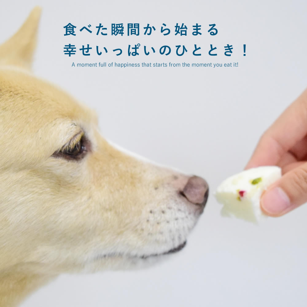 犬用おやつ しっとりヨーグルトケーキ【ハウンドカム食堂】【冷凍便】 無添加 食いつき抜群 やわらかいおやつ 食べやすい 消化に優しい 低脂肪 愛犬喜ぶ プレゼント ギフト シニア犬 小型犬 中型犬 大型犬 グルテンフリー 腎臓に配慮 低リン catfood-10059699 ペットの長生きごはん専門店 サンプル画像2