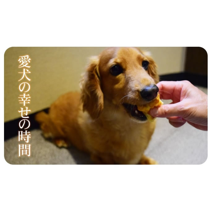 食堂の手作りチーズスフレ5セット+1セット【ハウンドカム食堂】