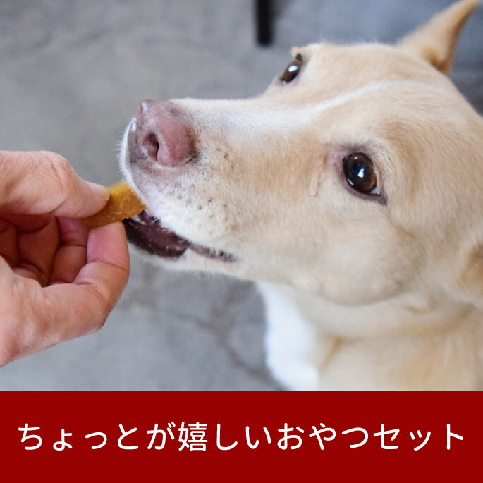 犬用おやつセット｜腎ケアミニおやつセット 国産　安心　トリーツ　低リンで腎臓に配慮されたおやつ　お試しやプレゼントに　無添加おやつセット