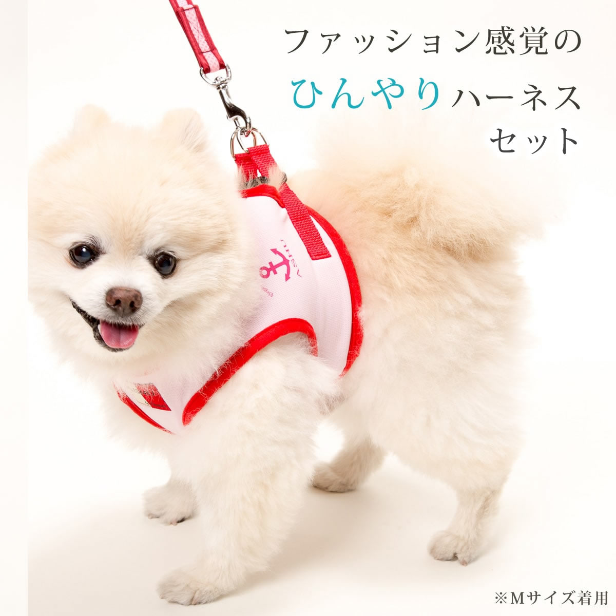 【ハーネス×L1着、リードS×1本】犬 クールハーネス ASHUクーリングウェアハーネス ...