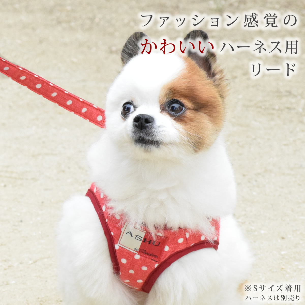 【ハーネス別売り】中型犬用リードM ASHUウェアハーネス 水玉用リード Mサイズ(中...