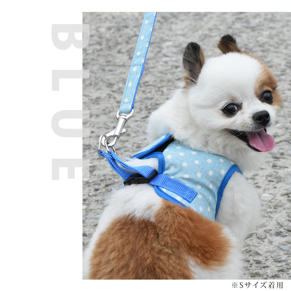 【ハーネス別売り】中型犬用リードM ASHUウェアハーネス 水玉用リード Mサイズ(中...