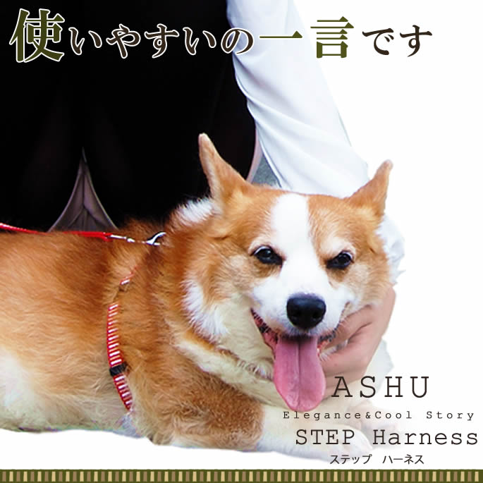 【割引クーポン配布中】中型犬 ハーネス ASHU ステップハーネスM 犬 ペット 胴輪 ...