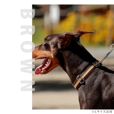 ハーフチョーク 大型犬 ASHU トリコロール ハーフチョークL 首輪 チョークカラー しつけ トレーニング ハーフカラー ハーフチョーカー犬用首輪 お散歩 可愛い 犬のグッズ ペット用品 犬の首輪 ペットグッズ グッズ わんこ 愛犬 犬用品