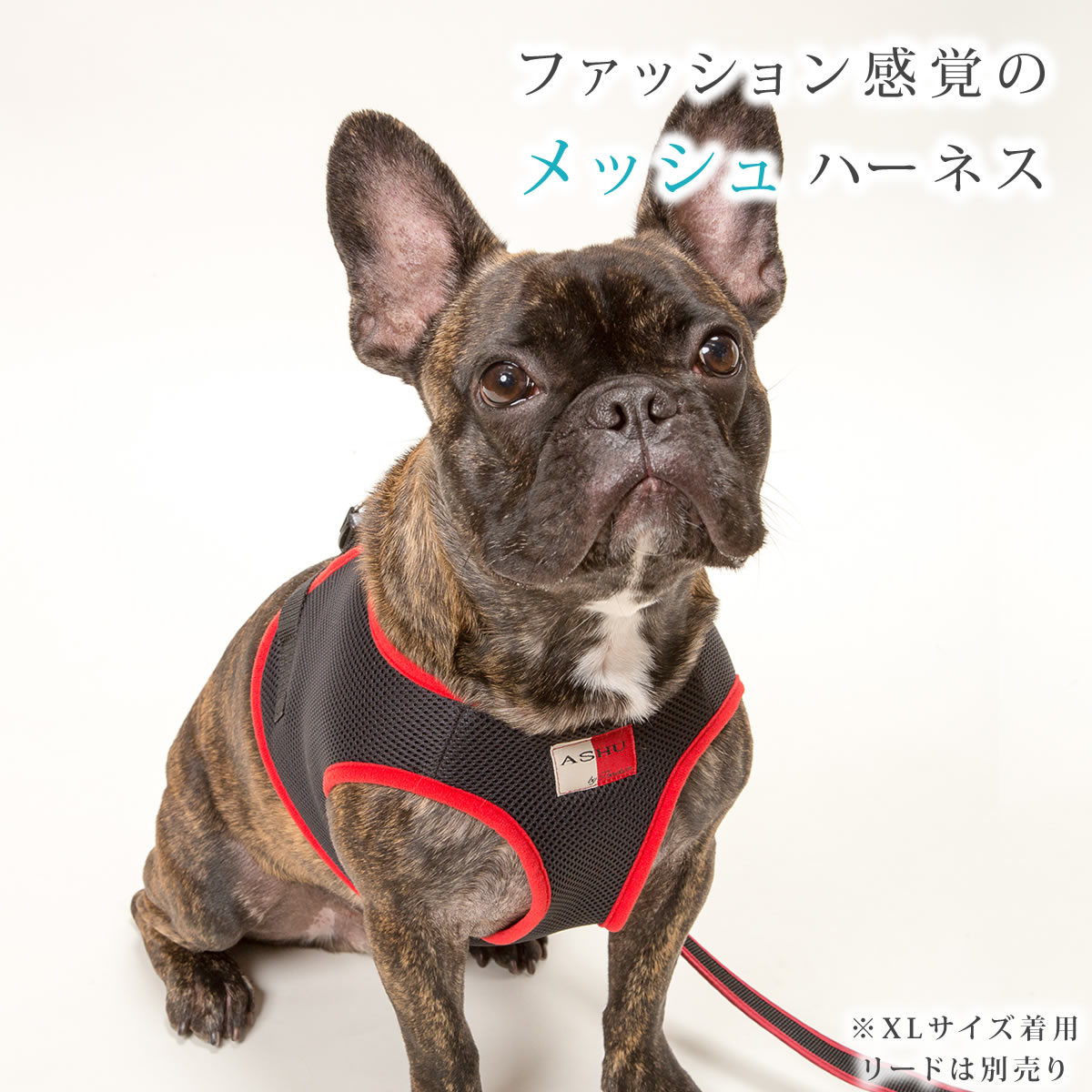 【リードは別売り】犬 ハーネス ASHUウェアハーネスXL ベスト型 服型 胴輪 シニア 老犬にも優しいメッシュ シバ ペット用 帝塚山ハウンドカム catfood-10003544 ペットの長生きごはん専門店 サンプル画像2