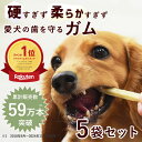 【割引クーポン配布中】小型犬 中型犬 ガム 5袋セット なた豆ライスガムソフト【15本×5袋 計75本入り】犬用おやつ 国産 低脂肪 無添加 やわらかめのガム 犬 犬用 牛皮ガム おやつ 犬のガム デンタルケア シニア 高齢犬 帝塚山ハウンドカム
