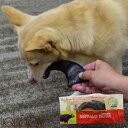 【割引クーポン配布中】愛犬用 デンタルおもちゃ バッファローホーン ラージ 小型犬 中型犬 大型犬 噛むおもちゃ インド 角 帝塚山ハウンドカム