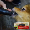 【割引クーポン配布中】愛犬用 デンタルおもちゃ バッファローホーン レギュラー 小型犬 中型犬 大型犬 噛むおもちゃ インド 角 帝塚山ハウンドカム