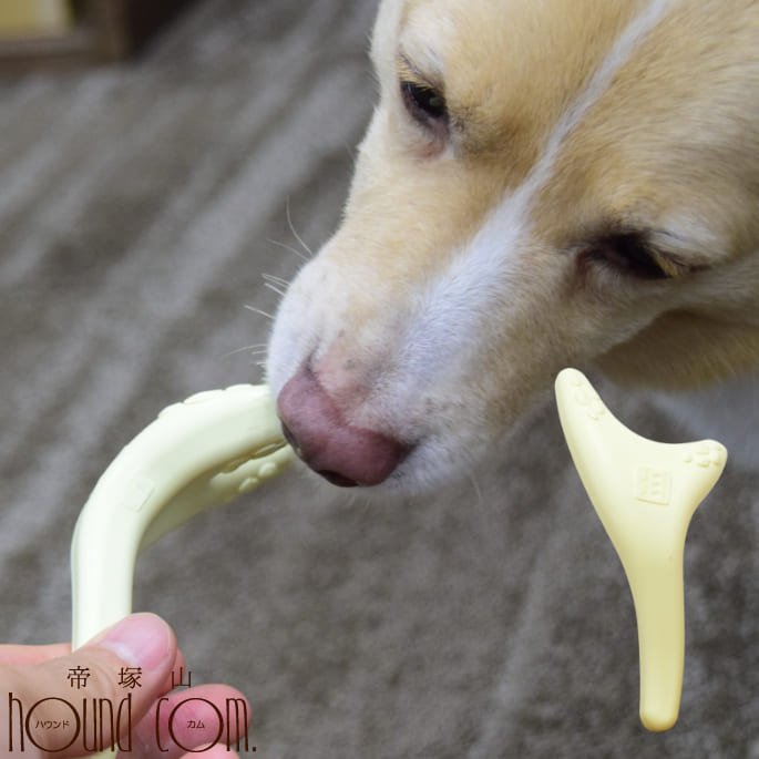 愛犬用 デンタルおもちゃ お米から作ったデンタルチュー Mサイズ 犬 噛むおもちゃ 噛んで遊ぶ デンタルおもちゃ 帝塚山ハウンドカム