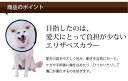 エリザベスカラーベットカラー Mサイズ 手術後のアフターケア。傷を舐めない防止。犬 首輪 帝塚山ハウンドカム 3