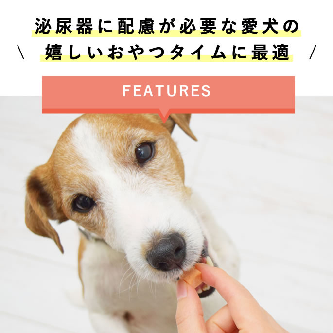 犬 おやつ とっておきのひとくちテリーヌ 尿路ケア 100g【ハウンドカム食堂】犬 泌尿器 尿路ケア 尿路結石 水分補給 手作りごはん 老犬 シニア犬 水分たっぷり 療法食 食べない 食いつき サポート トッピング 冷凍 無添加 国産 フレッシュフード catfood-10059824 ペットの長生きごはん専門店 サンプル画像2