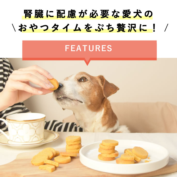 犬 ロイヤルプティサブレ 腎臓ケア 70g シニア犬 おやつ 【冷凍便】無添加 国産 安心 安全 しっとり やわらかい グルテンフリー 米粉 を使用した クッキー ビスケット 腎ケア 低リン ご褒美 トリーツ 高齢犬 老犬 帝塚山ハウンドカム catfood-10059833 ペットの長生きごはん専門店 サンプル画像2