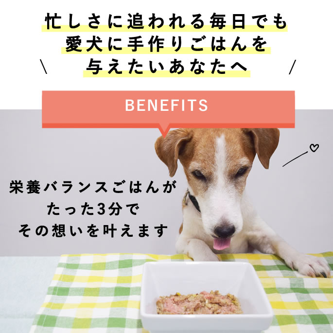 犬 手作りごはん お肉を足すだけ栄養バランスごはん 無添加 国産 トッピング ふりかけ パピー シニア 消化にやさしい 低脂肪 ペットフード 人気 おすすめ 簡単 安心 ご飯 時短 ベースフード BASE FOOD 混ぜるだけ 帝塚山ハウンドカム catfood-10059913 ペットの長生きごはん専門店 サンプル画像2