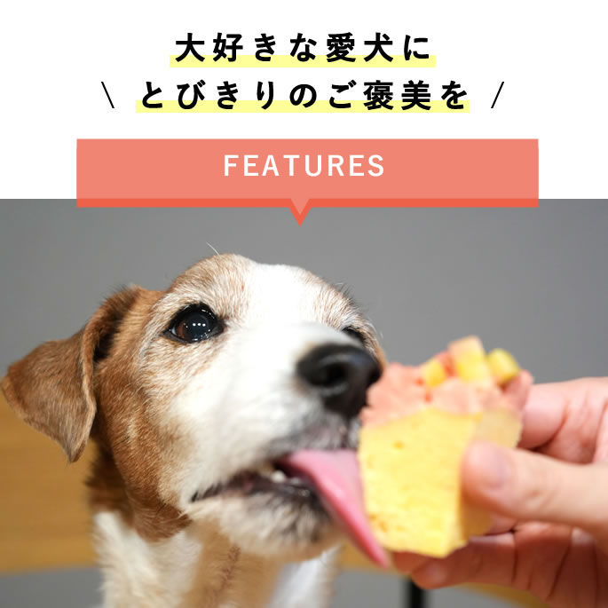 ハッピーカップケーキ 2種3個セット【※お名前入れ不可】犬用ケーキ 誕生日 バースデー パーティー 記念日 プレゼント ギフト かわいい 食べ物 さつまいも 米粉 小麦粉不使用 老犬 シニア犬 ペット用 小型犬 大型犬 catfood-10059968 ペットの長生きごはん専門店 サンプル画像2