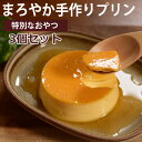 犬 用 プリン 3個 セット 冷凍 配送【ハウンドカム食堂】柔らか 食堂の手作りプリン 愛犬用 冷凍でお届け おやつ プレゼント スイーツ シニア 高齢 犬 で...