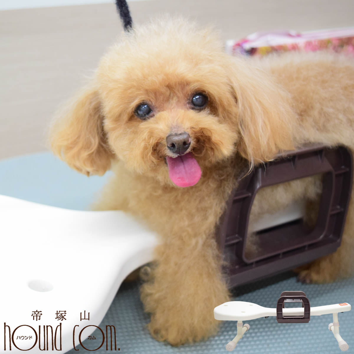 【割引クーポン配布中】【お取り寄せ】 犬 用 リラたっち ホームタイプ ロー ハイ ミドル 【姿勢補助・足腰負担軽減】【※お届けまで7〜14日ほどかかる場合がございます】足腰の弱い犬のシャンプー 保定 入浴 トリミング　介護 リラタッチ りらたっち 帝塚山ハウンドカム