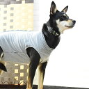 【ポイント5倍】犬用 術後カバー服 中・大型犬用(サイズ55・60・65)レトリバー シェパード 着せやすい 傷なめ防止 手術後 術後服 介護服 老犬 シニア 介護 エリザベスカラー代替 ストレス感じない 動きやすい 傷舐め 避妊手術 帝塚山ハウンドカム